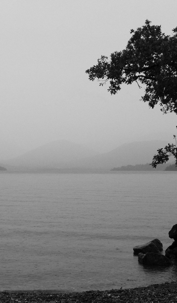 Туманное озеро