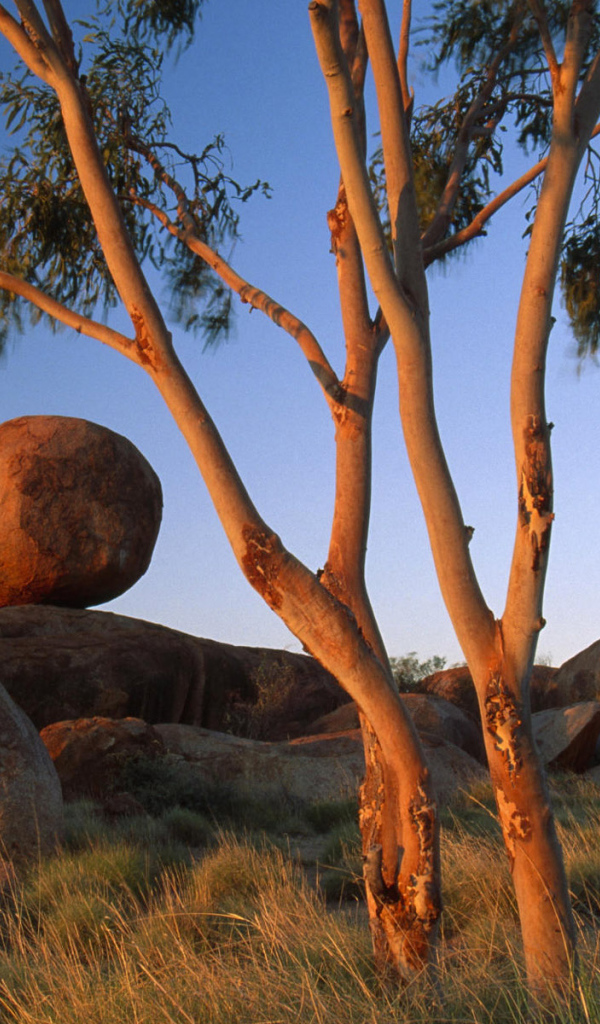 Круглые камни