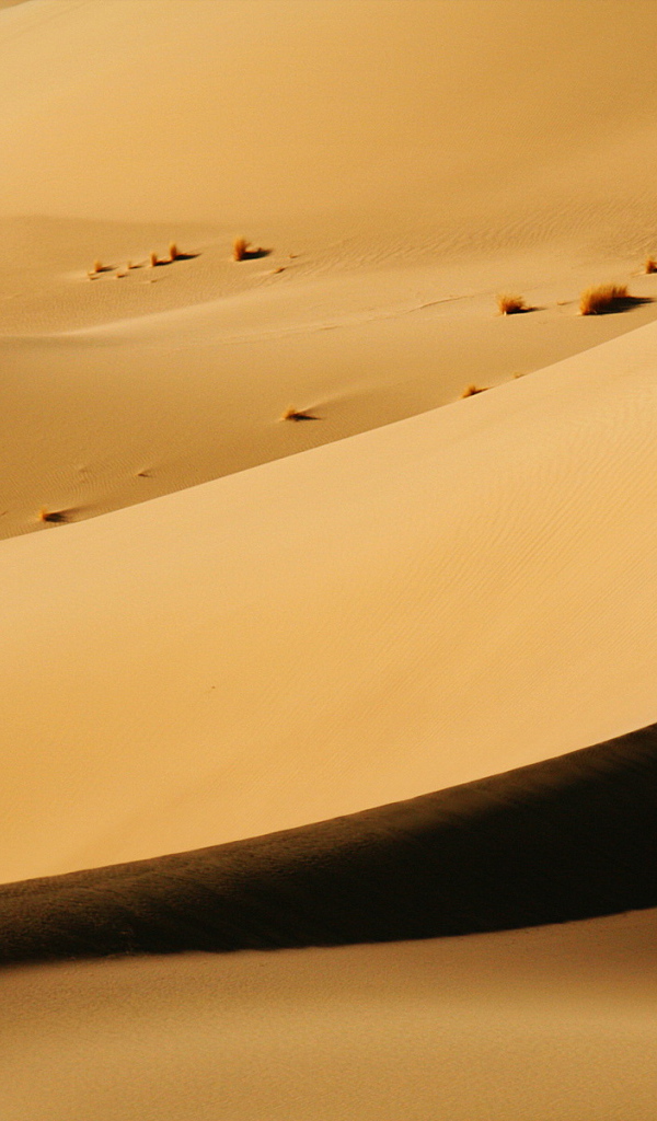Песочные дюны