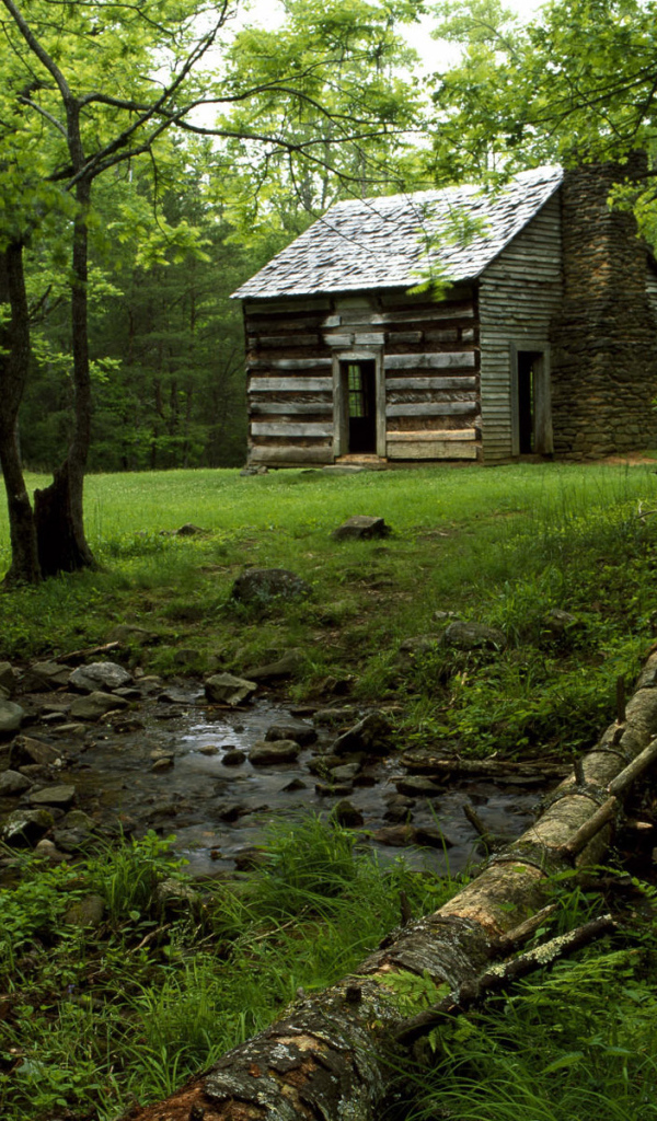 Дом на лесной поляне