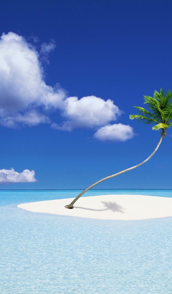 Островок с пальмой