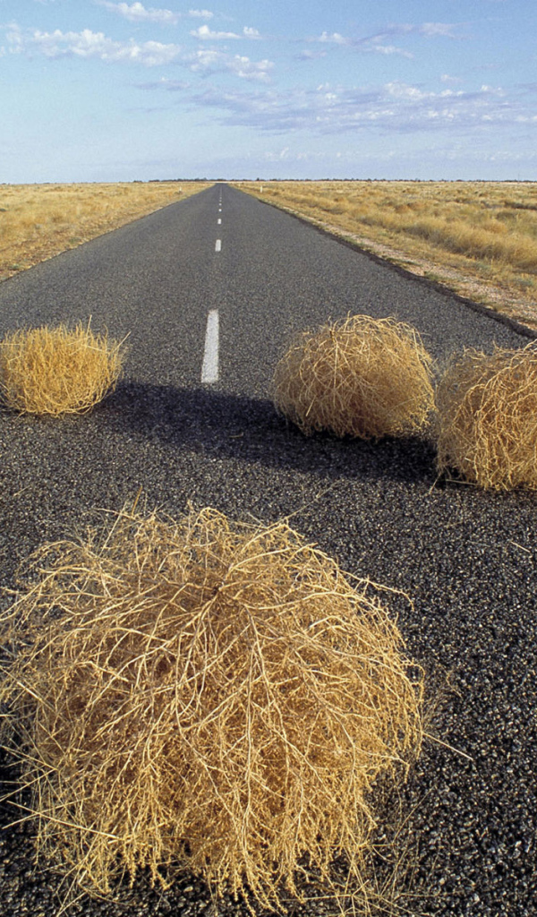 Дорога через пустыню