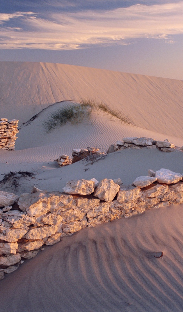 Белые пески пустыни