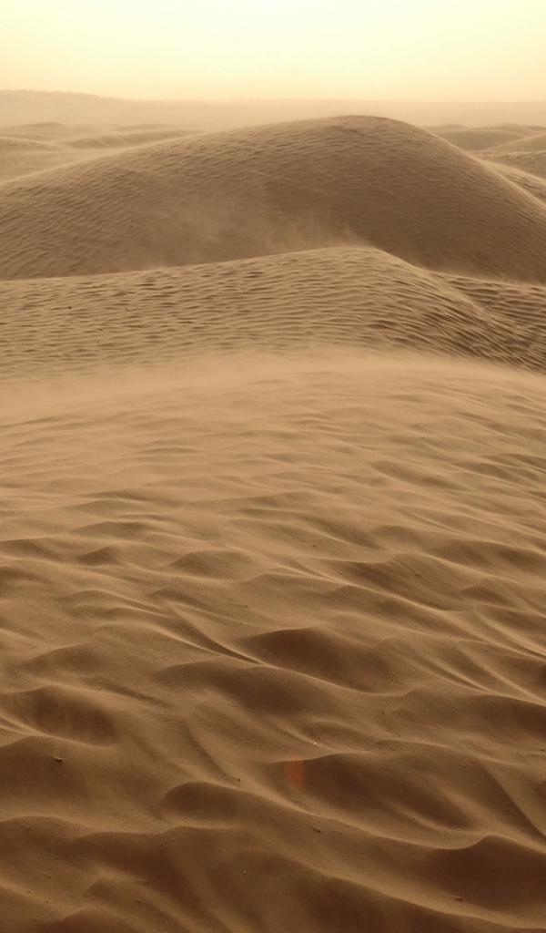 Пустынные дюны