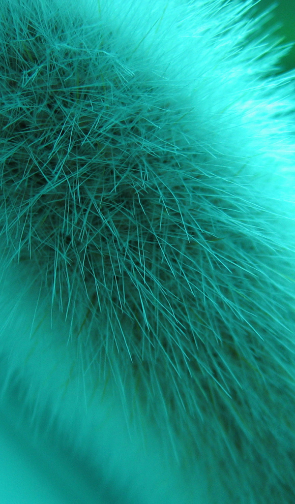 Макро съемка