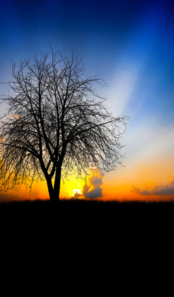 На закате дня