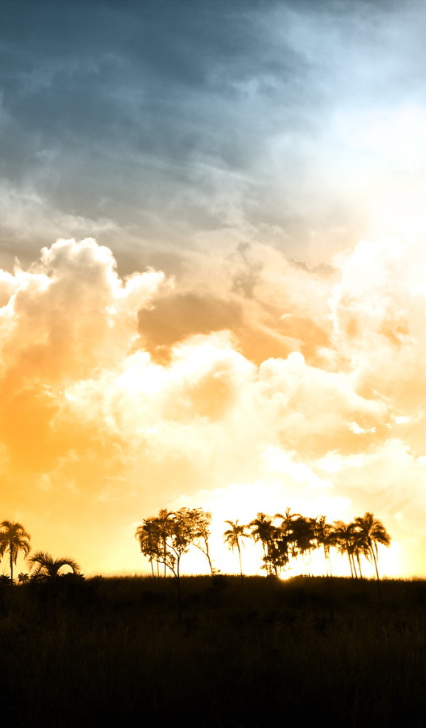 Красивый закат