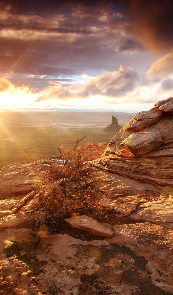 Вечерний закат