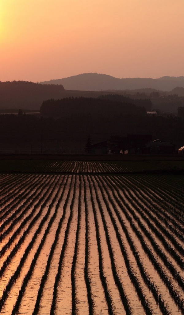 Невероятно красивый закат