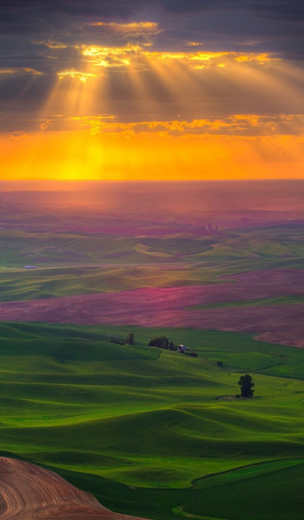 Поля на закате