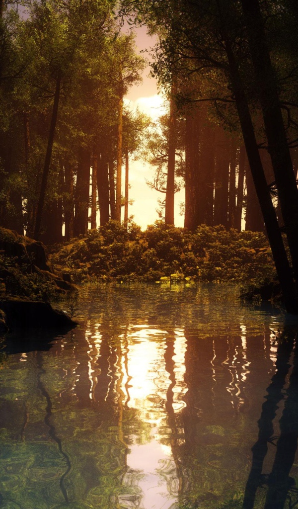 Лесная река на закате