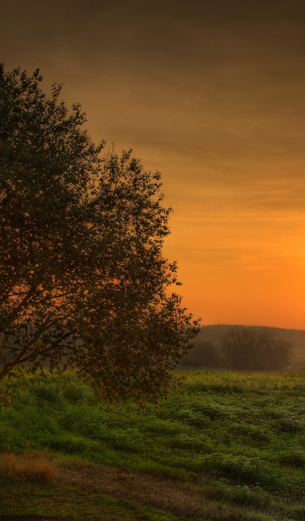 Загадочный закат