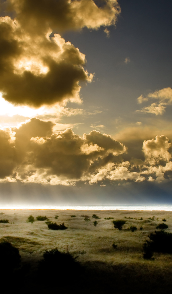 Тихий закат