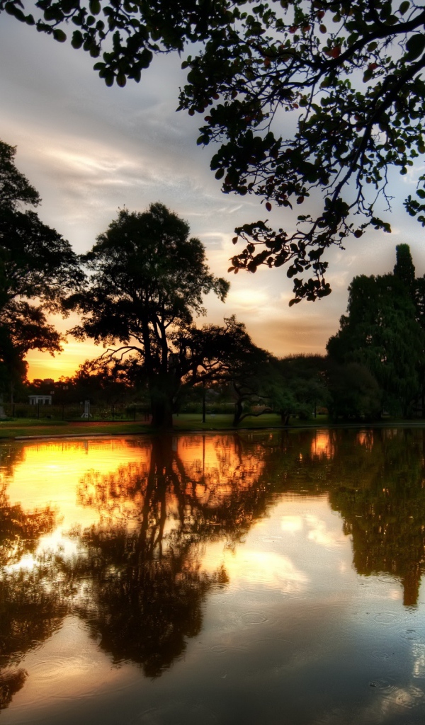 Парковое озеро