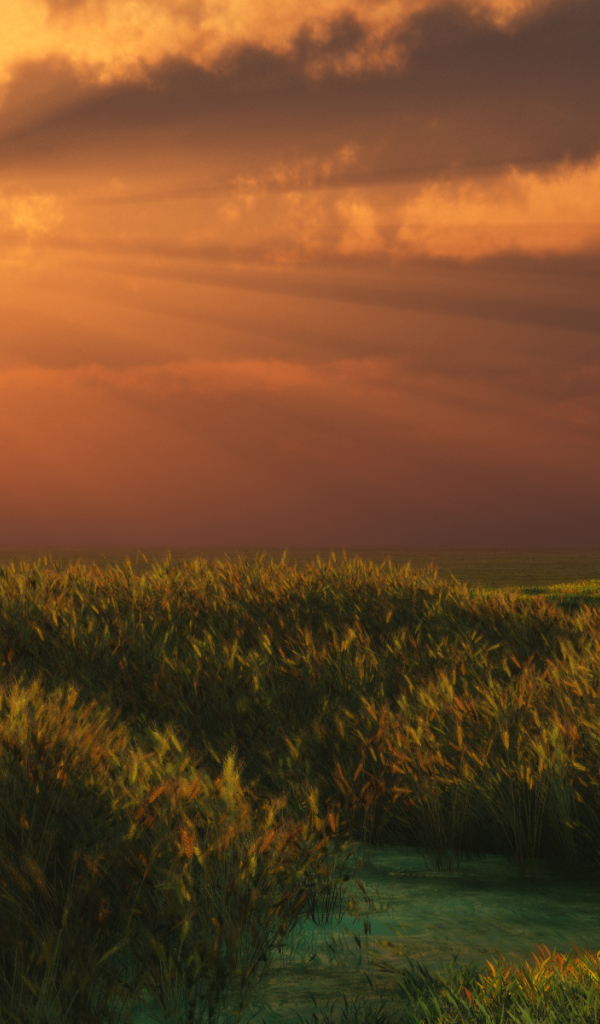 Летний вечер