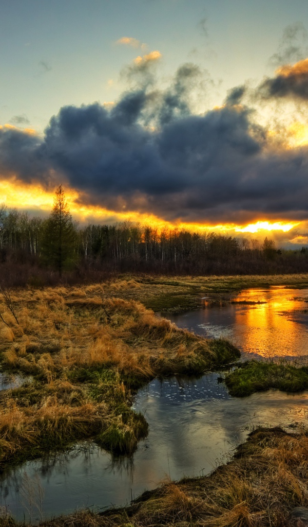 Закат в заболоченном местечке