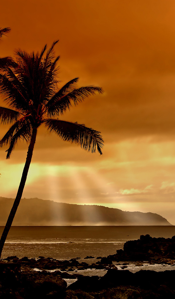 Закат в тропиках