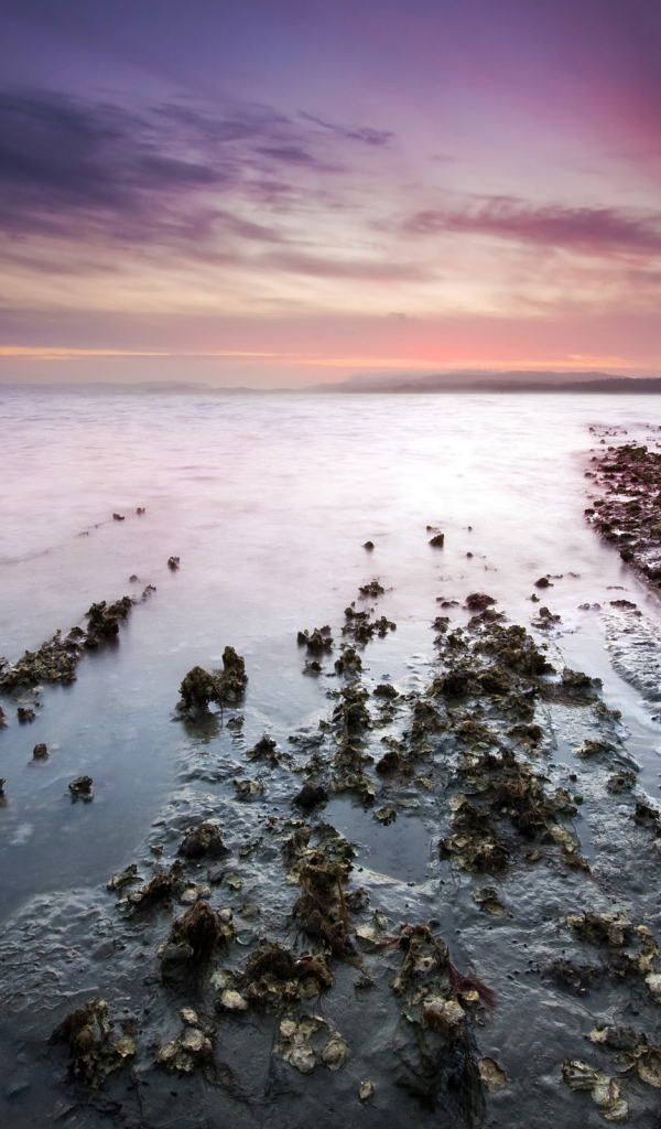 Залив на закате