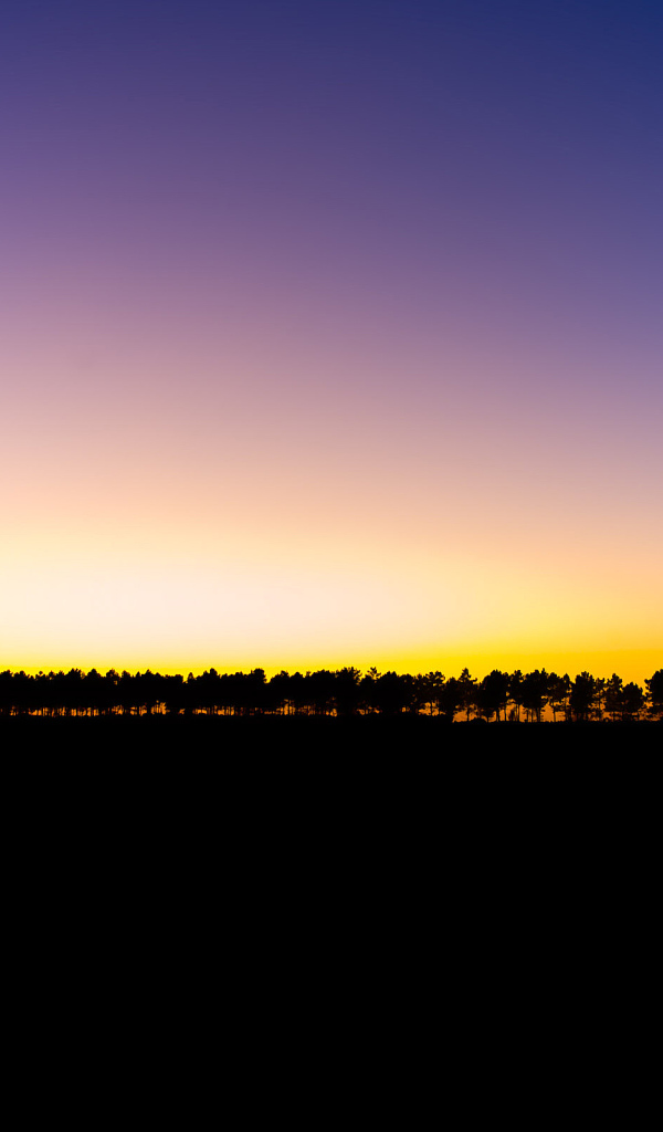 Последний луч света