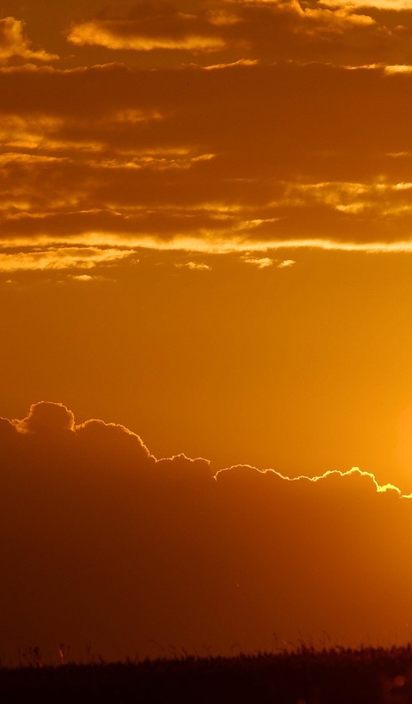 Лучи заходящего солнца