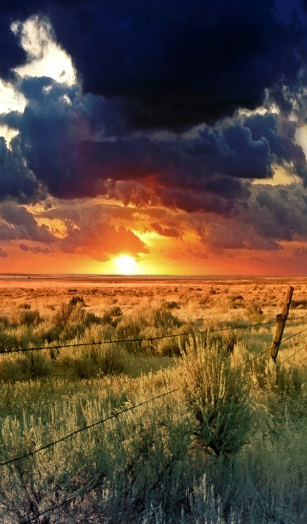 красивый закат на горизонте