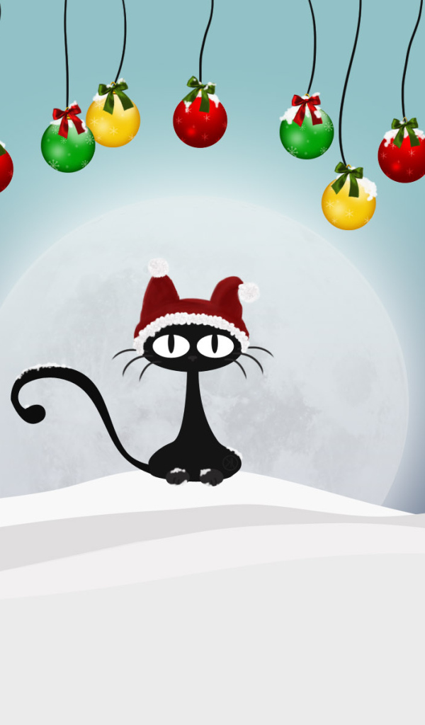 Кот на снегу