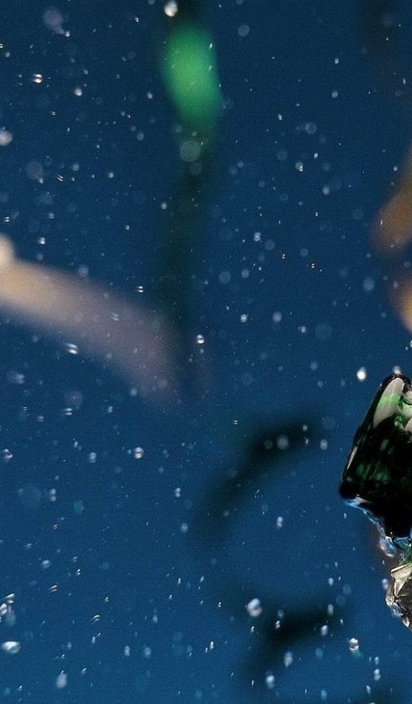 Шампанское в Новый Год