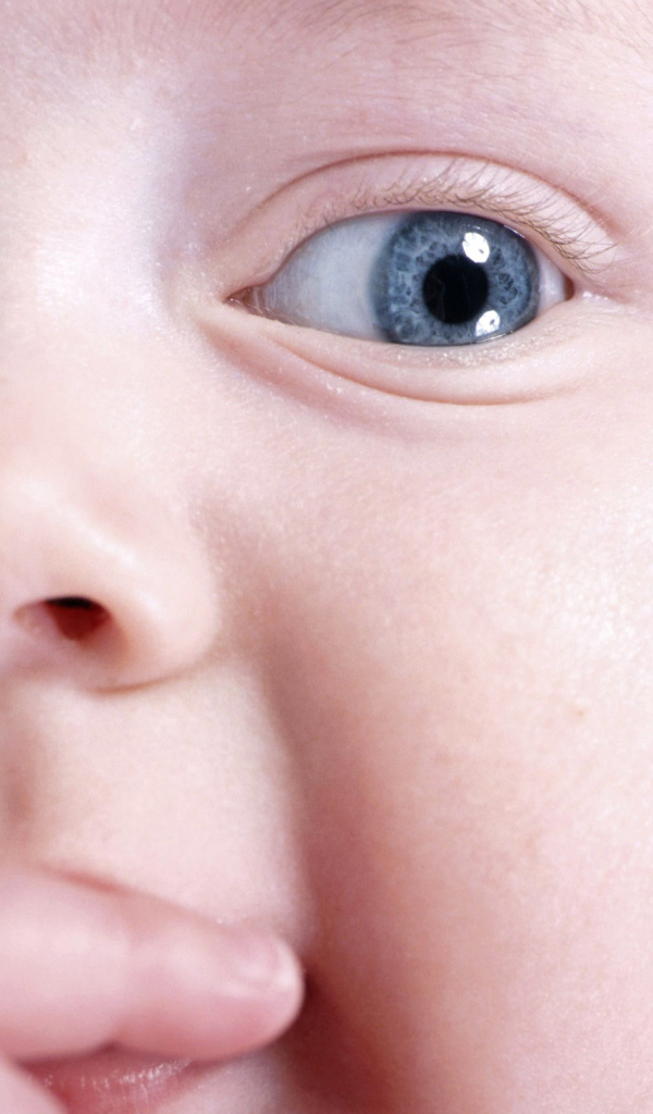 Любознательный малыш