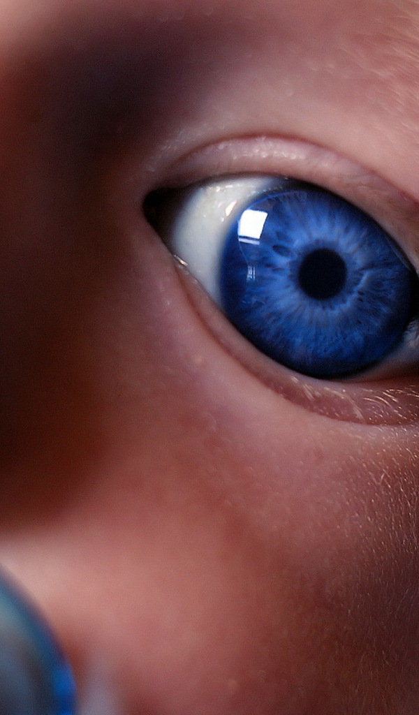 Взгляд на незнакомый мир