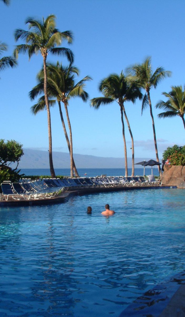 Бассейн у отеля