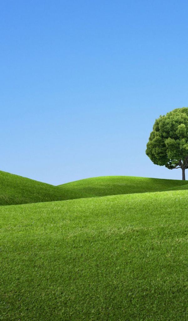 Дерево на зеленом холме