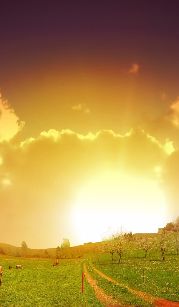 На закате летнего дня