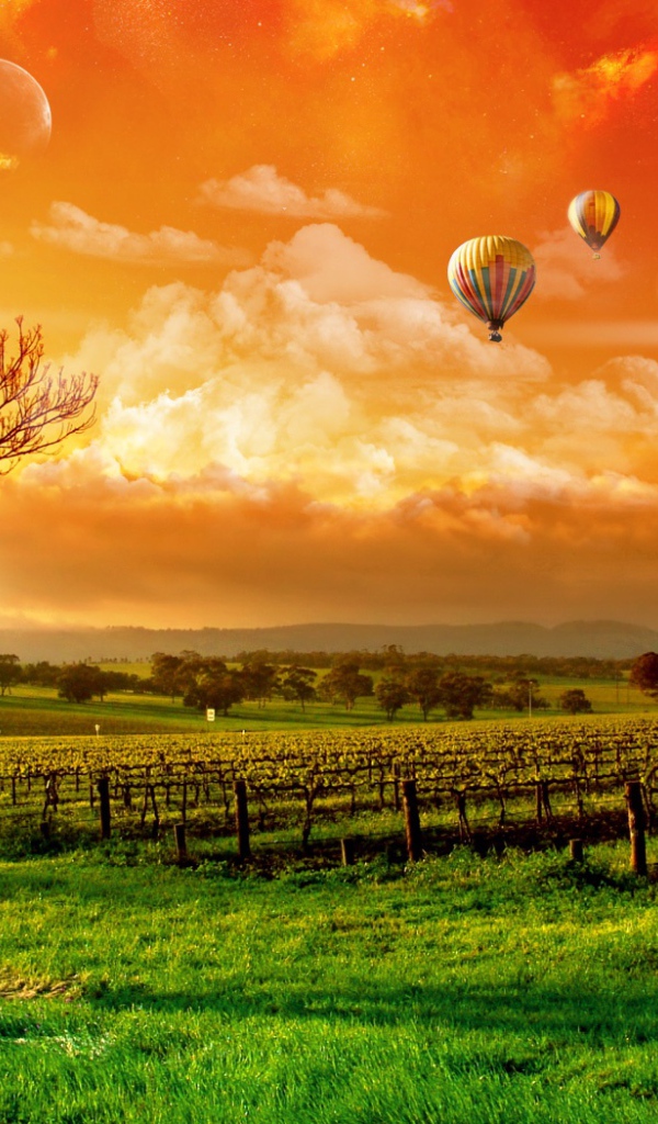 Воздушные шары