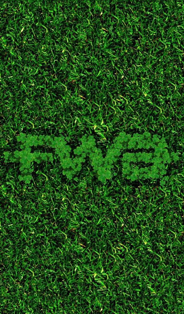 Бабочка на зеленой траве