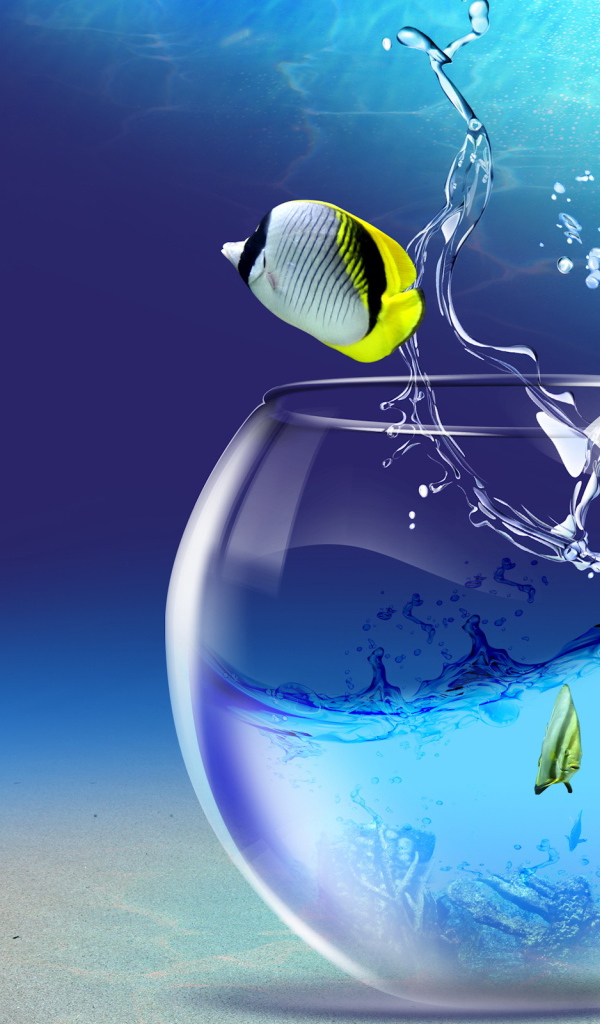 Прощание с аквариумом