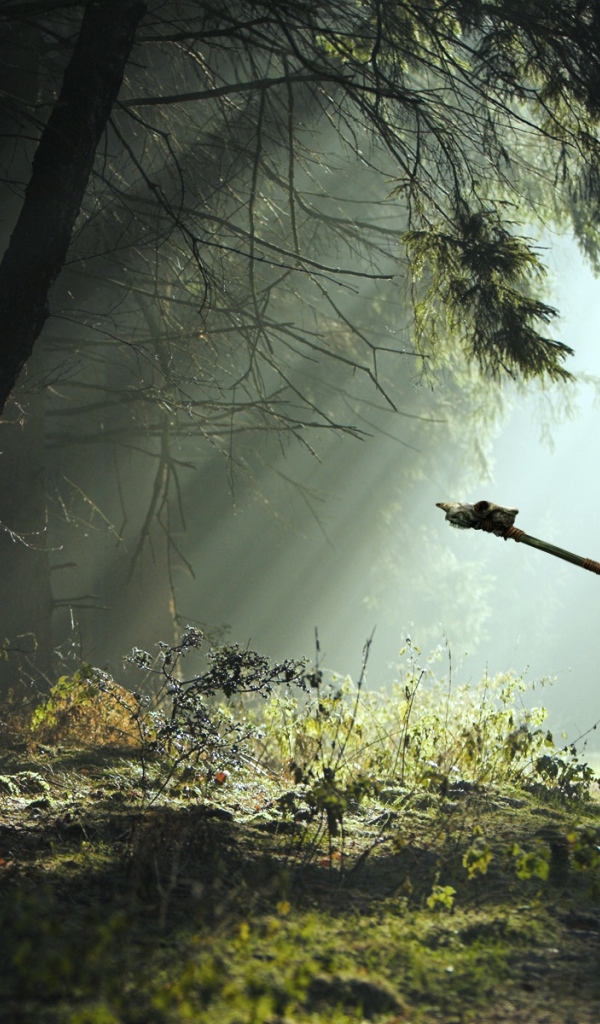 Лесной воин