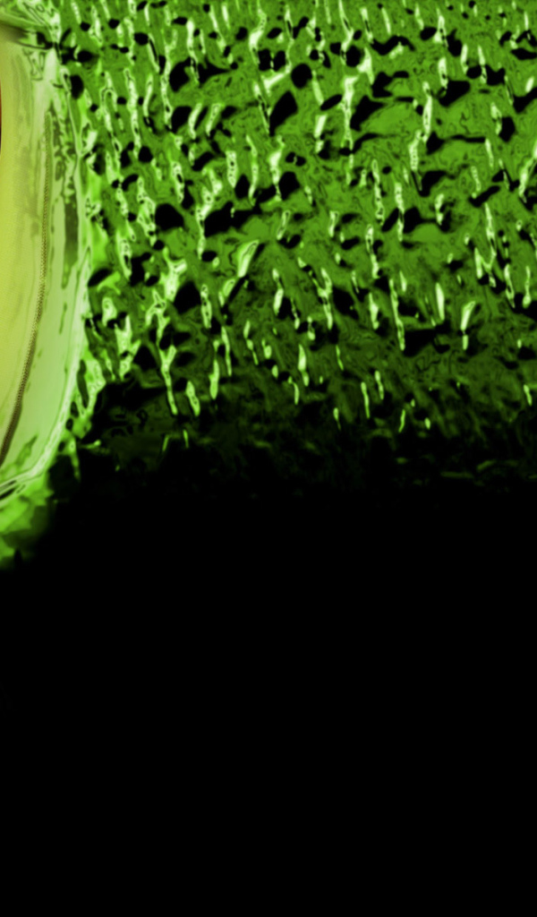 Зеленый хайр