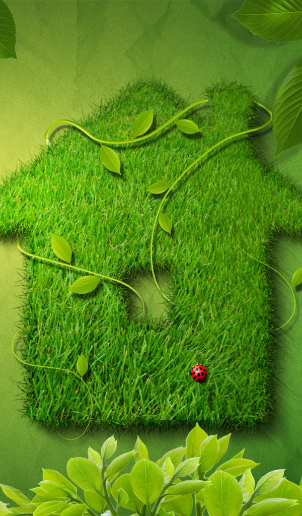 Зеленый домик