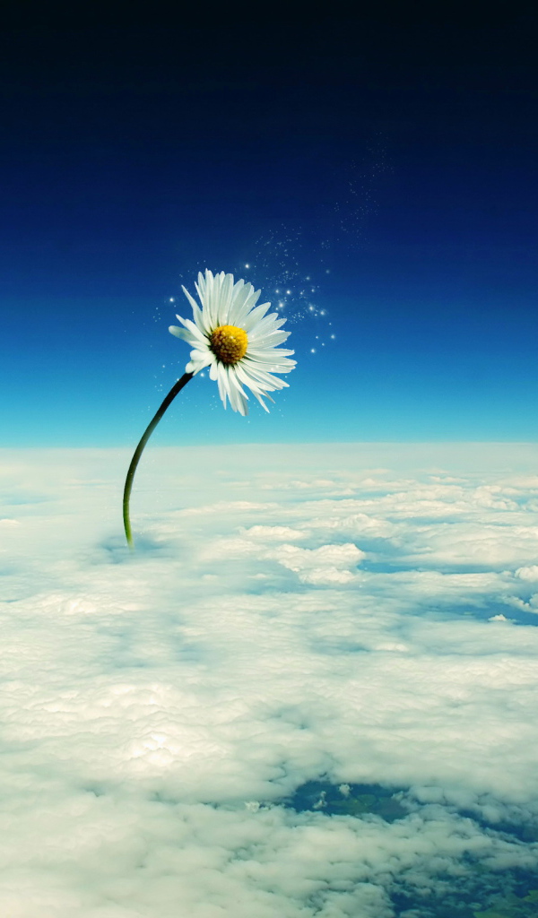 Небесный цветок