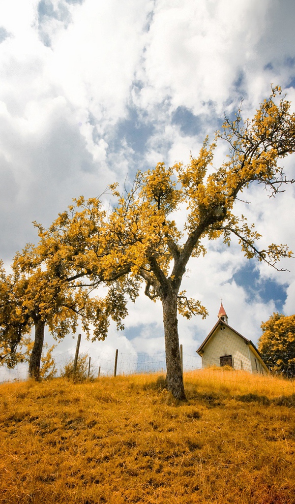 В желтом фокусе