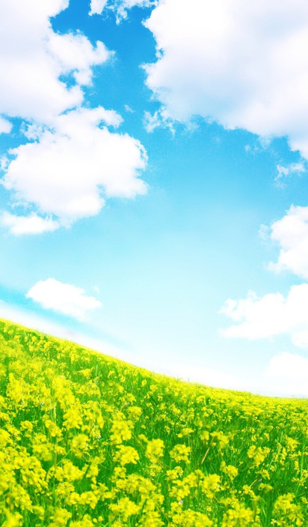 Крутая полянка