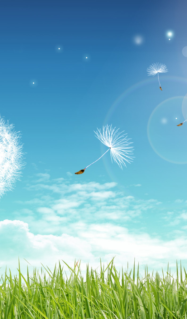 Летний день