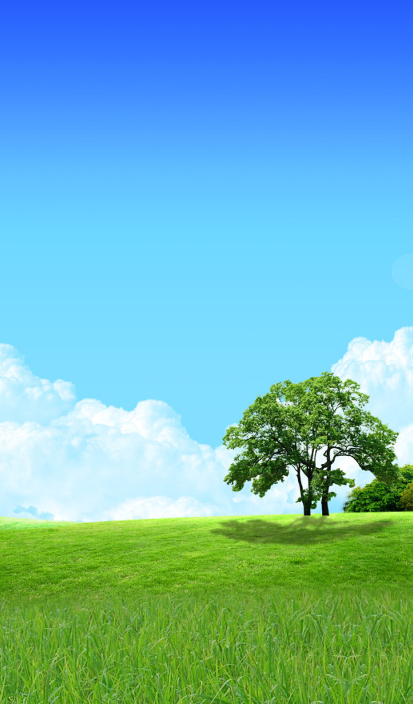 Солнце в зените