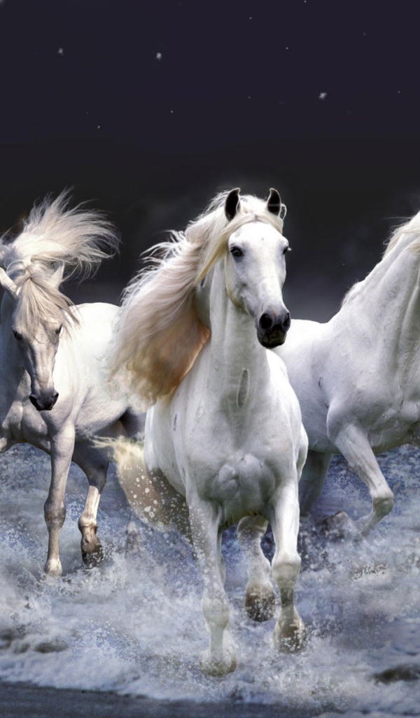 Тройка белых коней