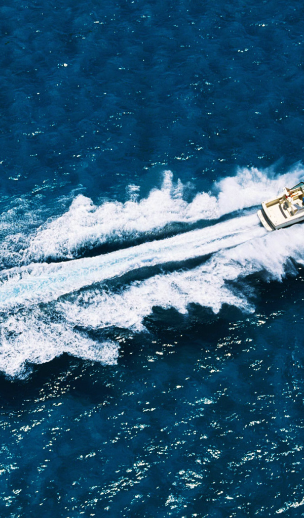 Быстроходный катер