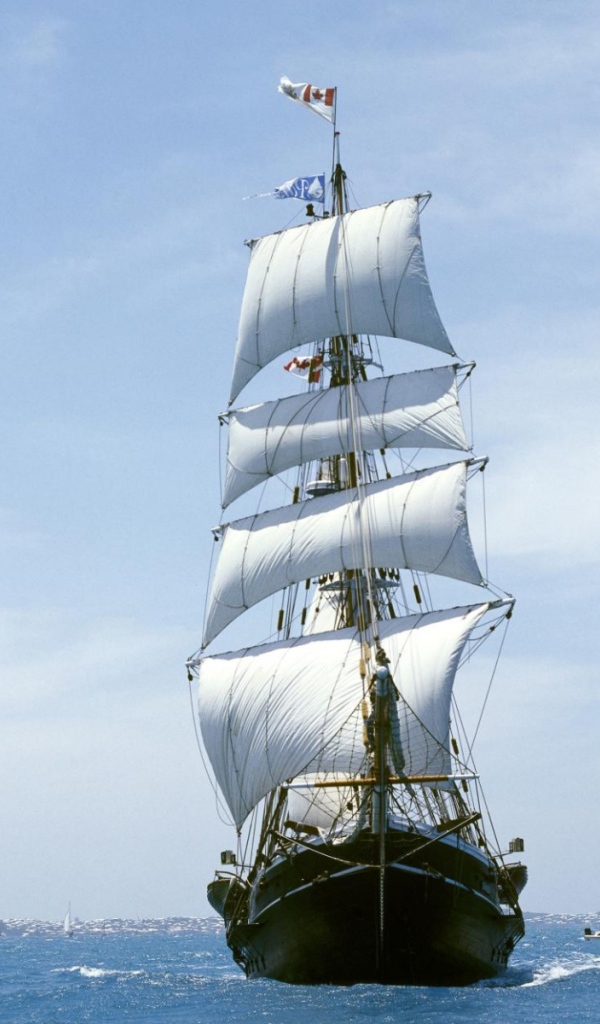 Белые паруса