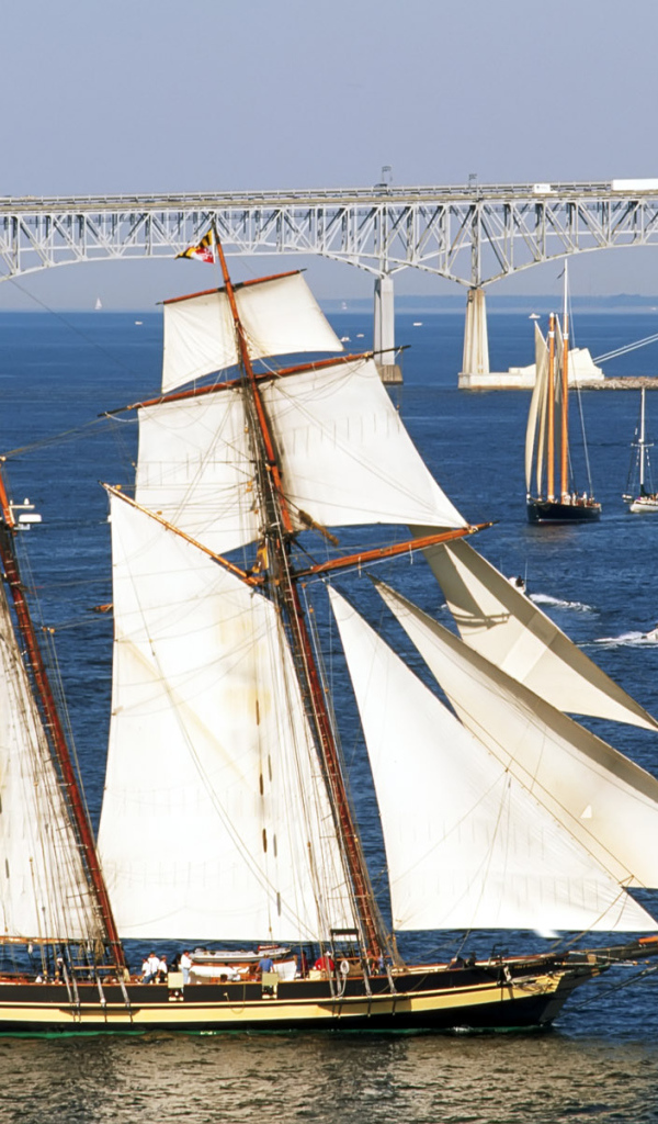 Белые паруса