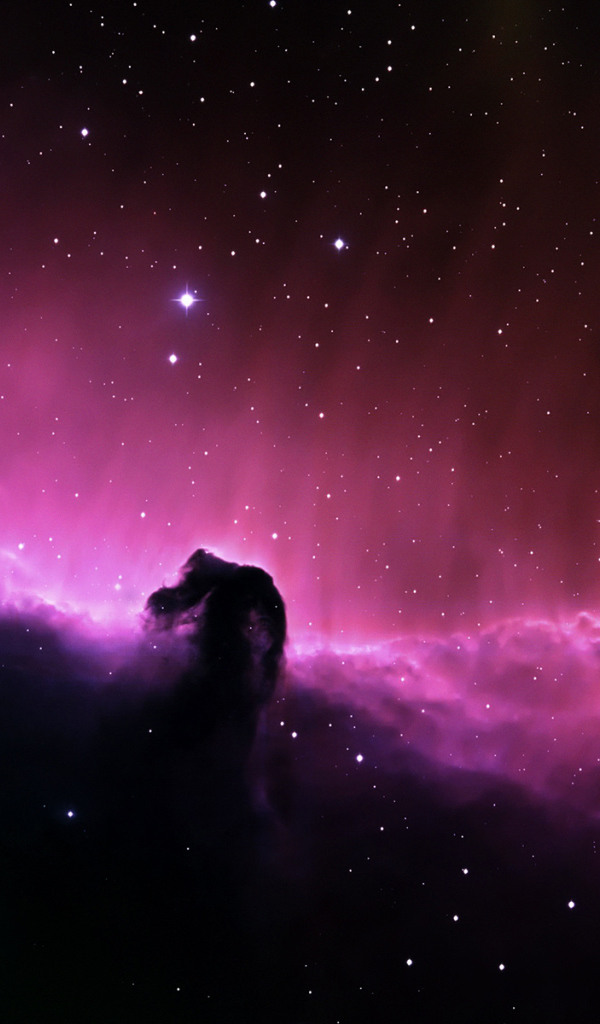 Туманность Лошади