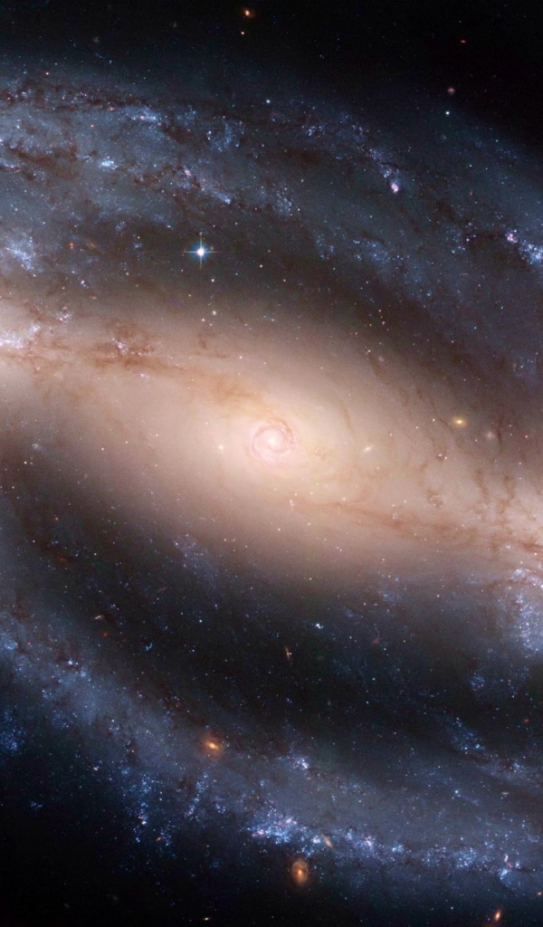 Сверхновая в туманности