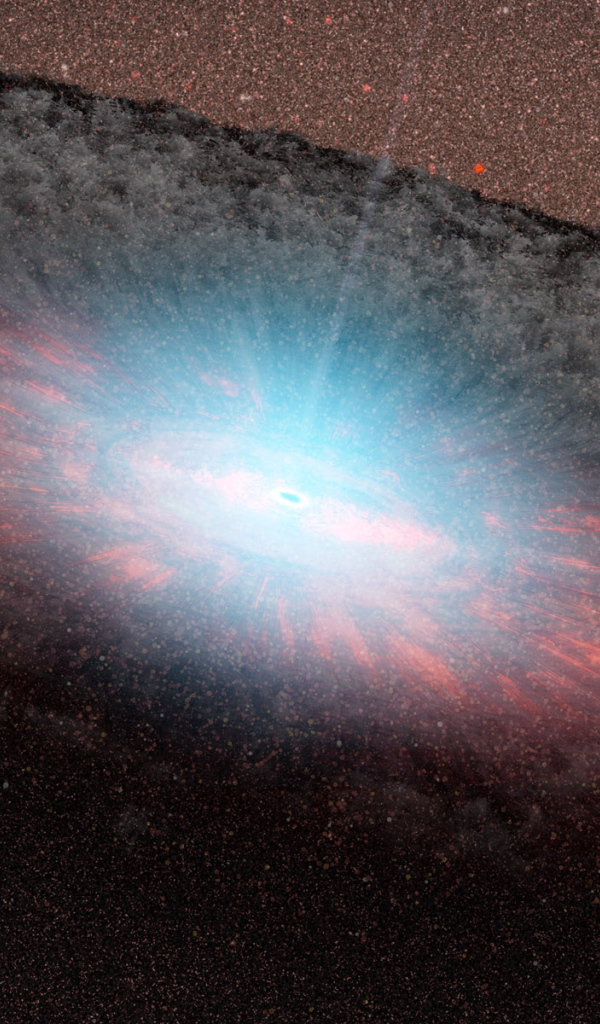 Образование черной дыры